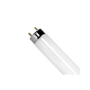 TUBO FLUORESC 10W T8 (F10T8)