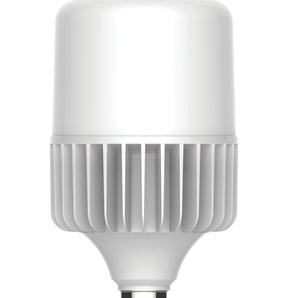 BOMBILLO LED 100W 8000LM E40 6500K #P28391-36